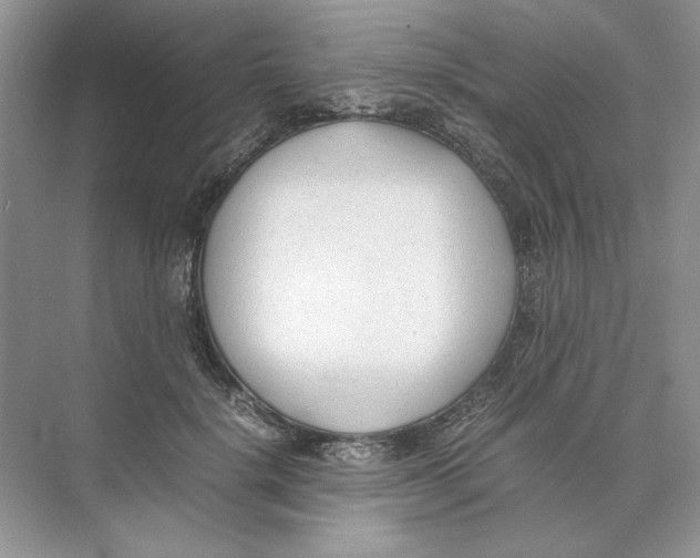 X0000074330652200609230053