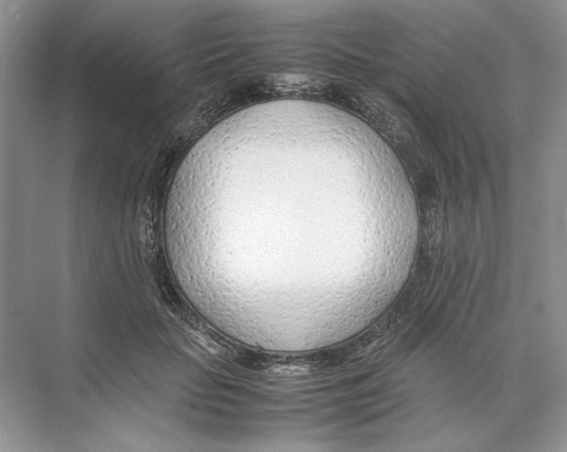 X0000074330653200609230053