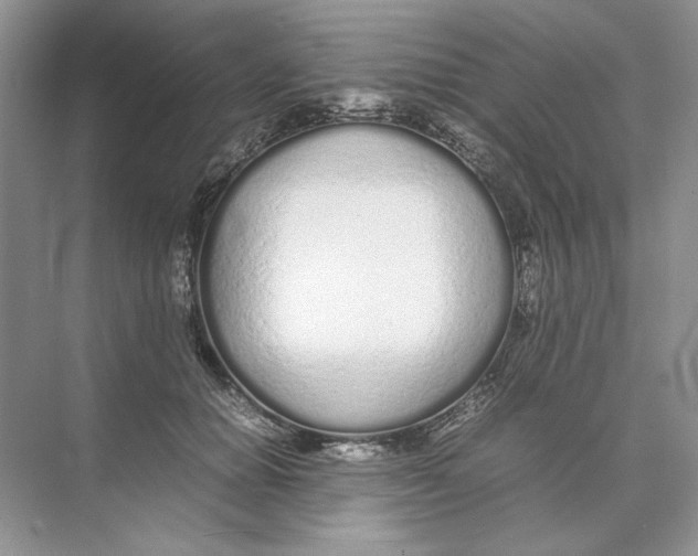 X0000074330654200609230053