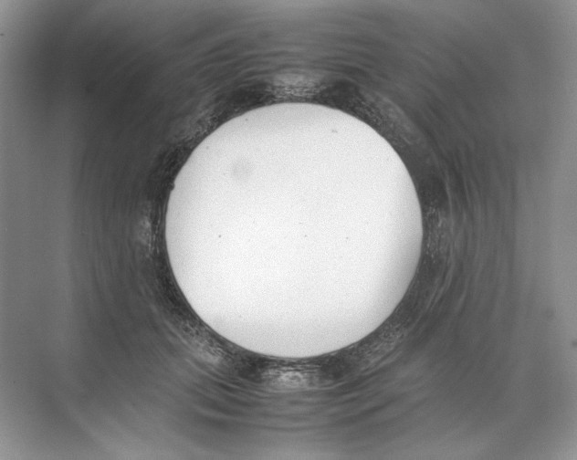 X0000074330655200609230053