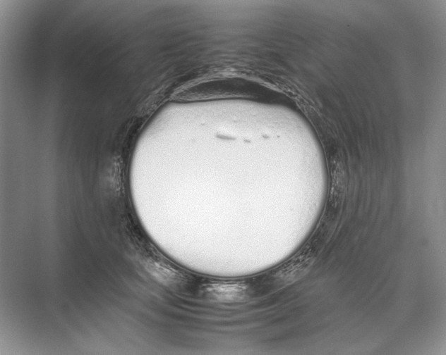 X0000074330659200609230053