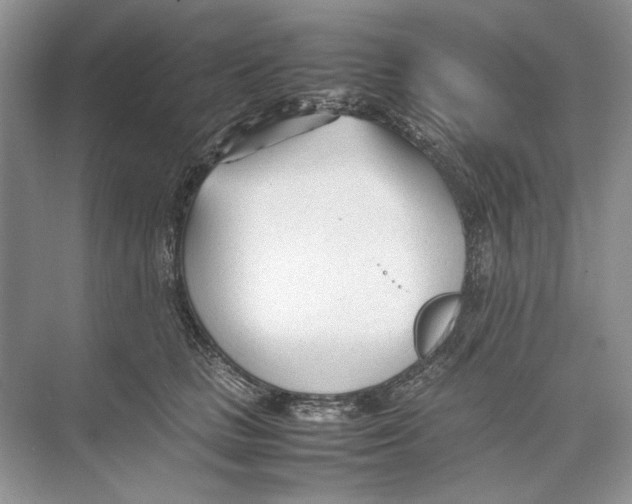 X0000074330661200609230054