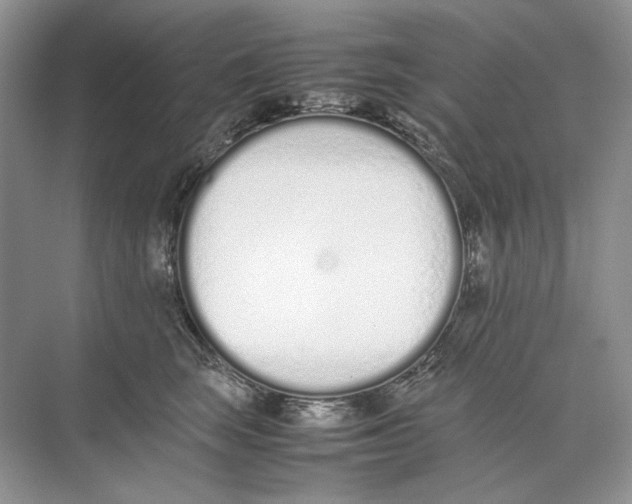 X0000074330663200609230054