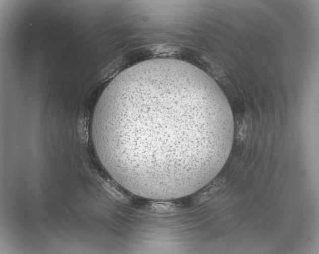 X0000074330666200609230054