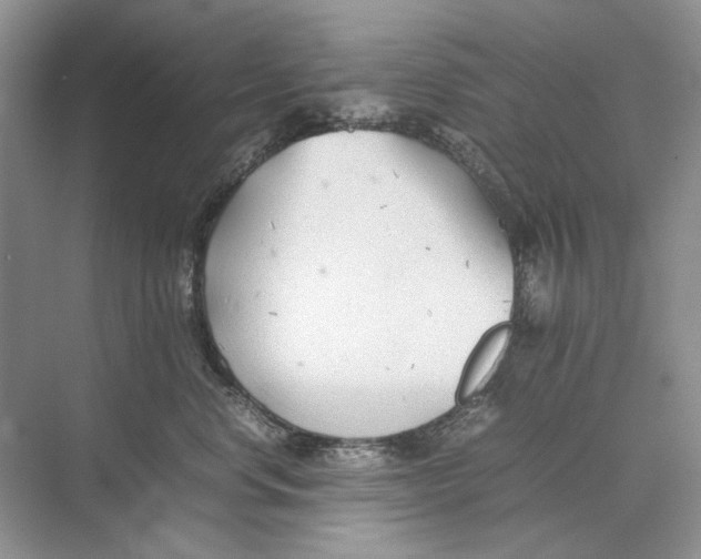 X0000074330668200609230054