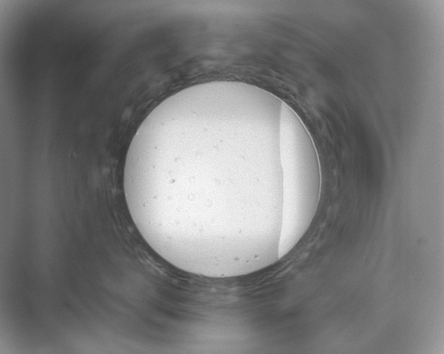 X0000074330672200609230054