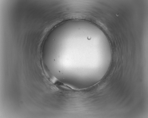 X0000074330673200609230053