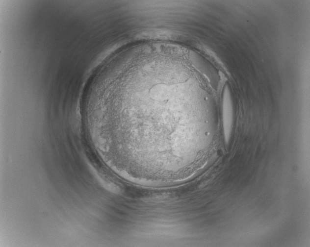 X0000074330674200609230053