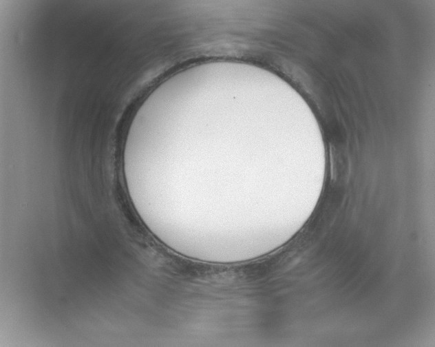 X0000074330675200609230053