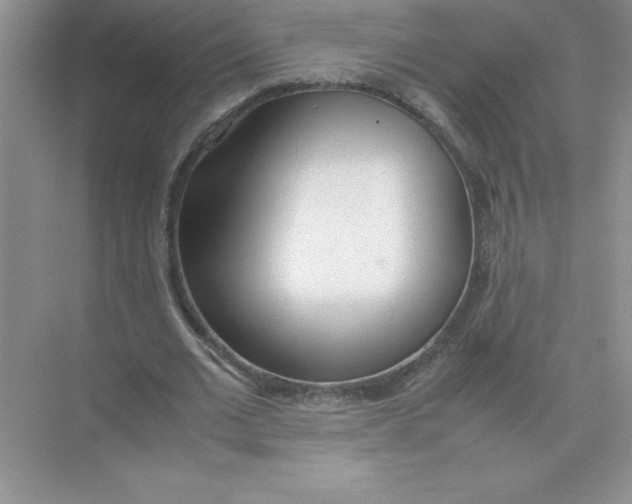 X0000074330677200609230053