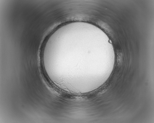 X0000074330678200609230053