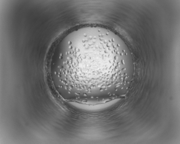 X0000074330680200609230053