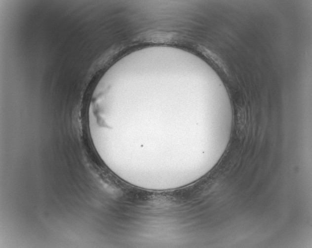 X0000074330682200609230053