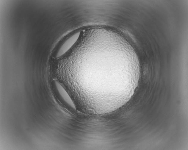 X0000074330684200609230053