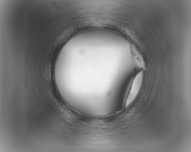 X0000074330685200609230053