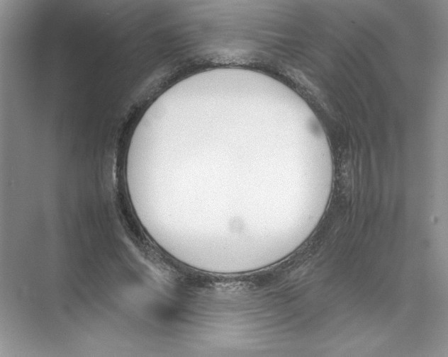 X0000074330686200609230053