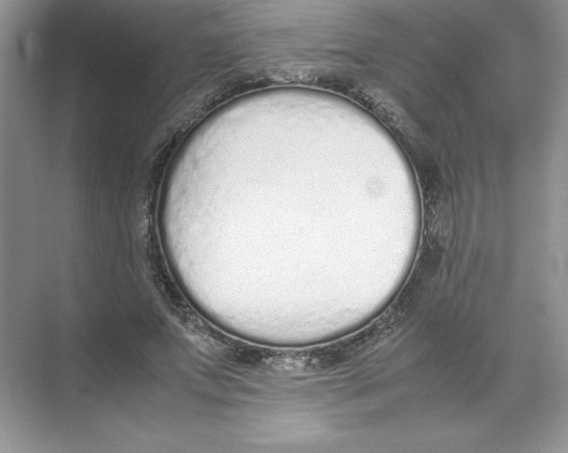 X0000074330687200609230053