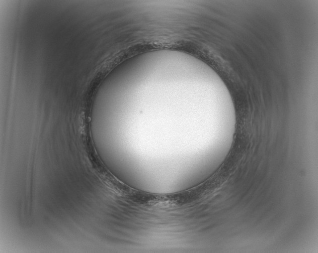 X0000074330689200609230053