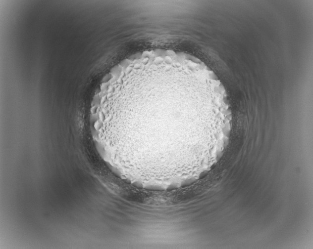 X0000074330691200609230053