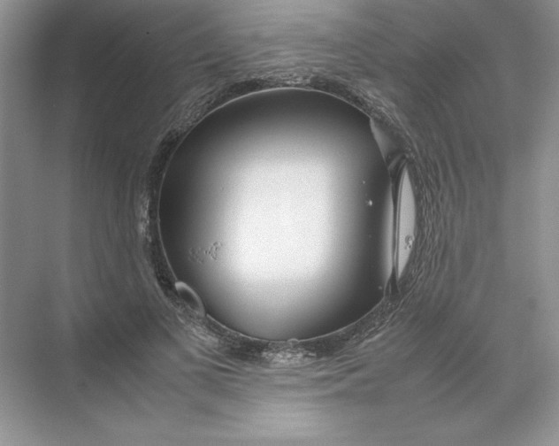 X0000074330693200609230053