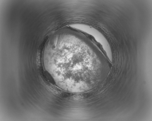 X0000074330696200609230053