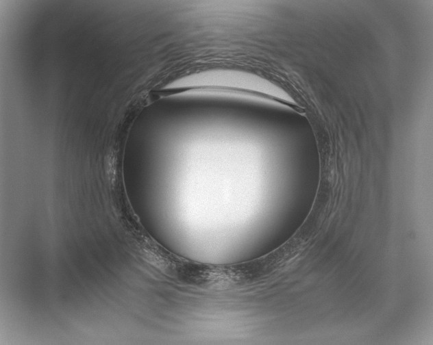 X0000074330697200609230052