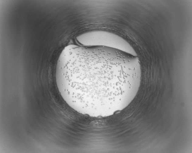 X0000074330700200609230052