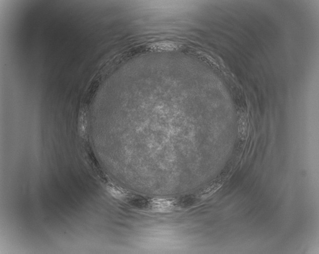 X0000074330701200609230052