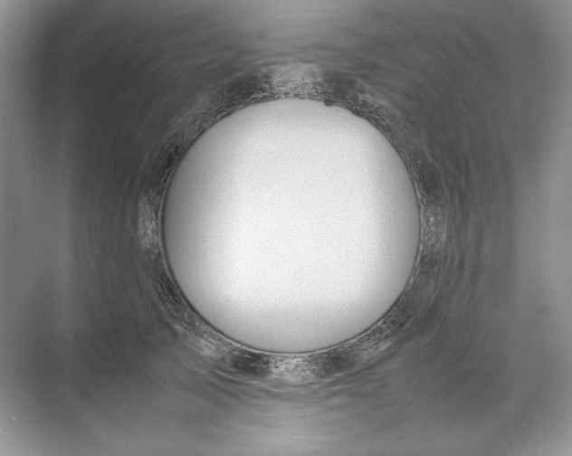 X0000074330705200609230052