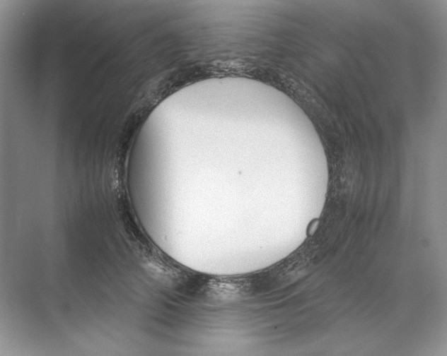 X0000074330706200609230052