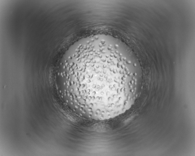 X0000074330708200609230052