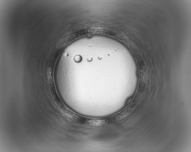 X0000074330711200609230052