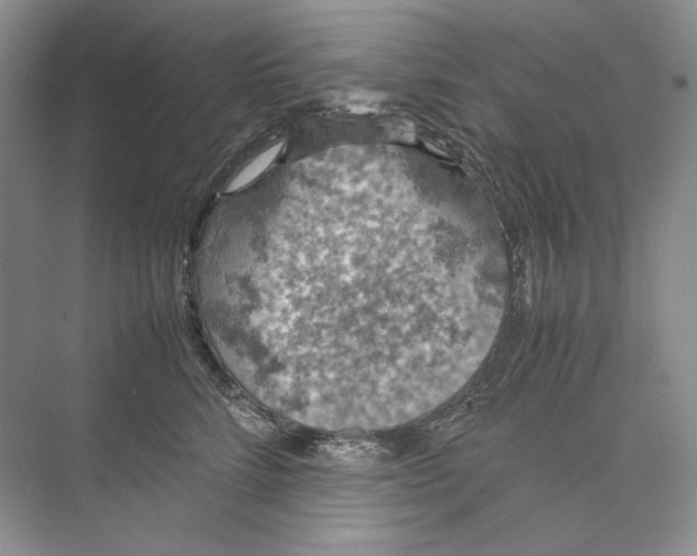 X0000074330712200609230052