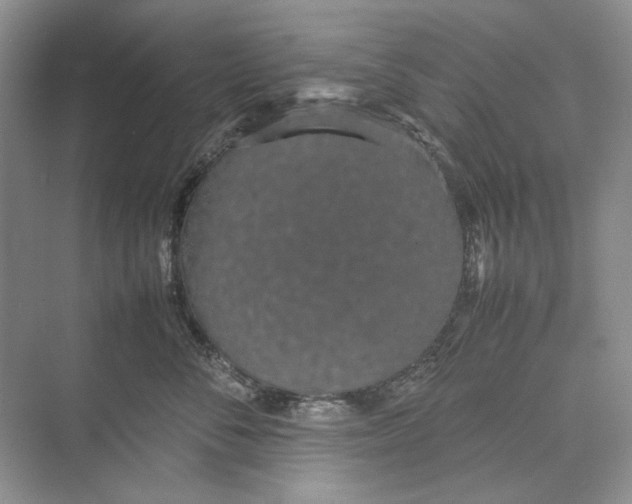 X0000074330716200609230052