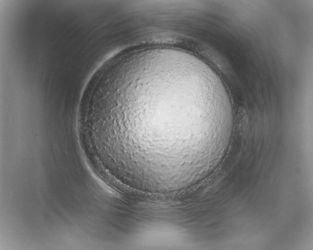 X0000074330726200609230051