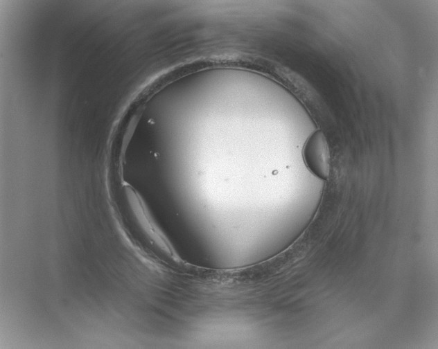 X0000074330728200609230051