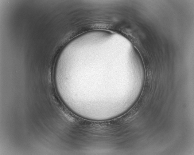 X0000074330729200609230051