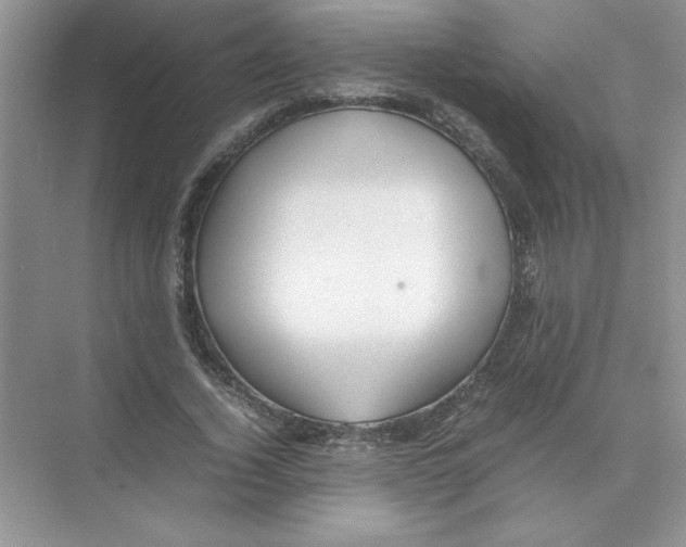 X0000074330732200609230051