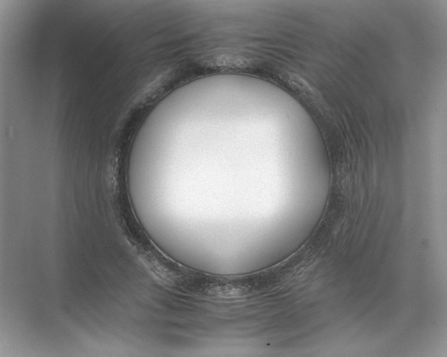 X0000074330735200609230052