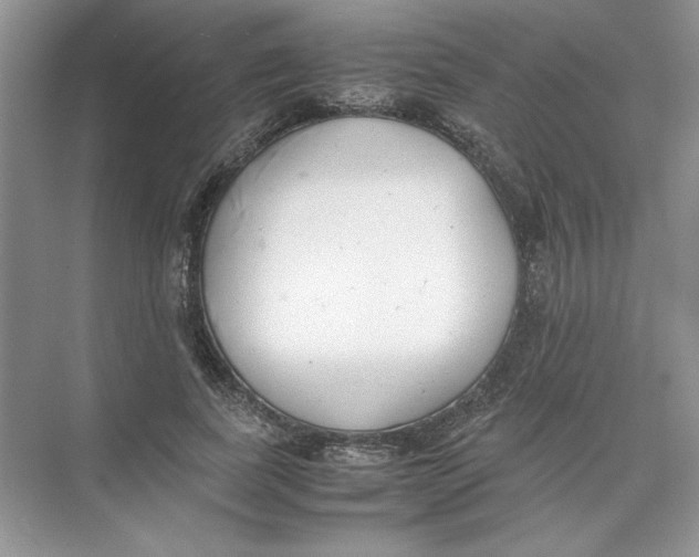 X0000074330739200609230052