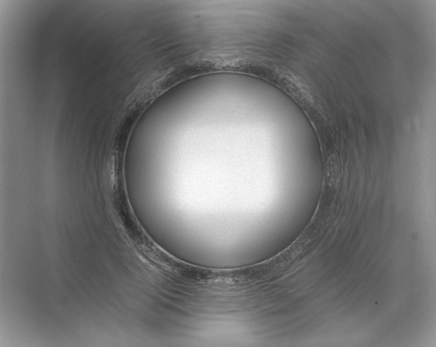 X0000074330740200609230052