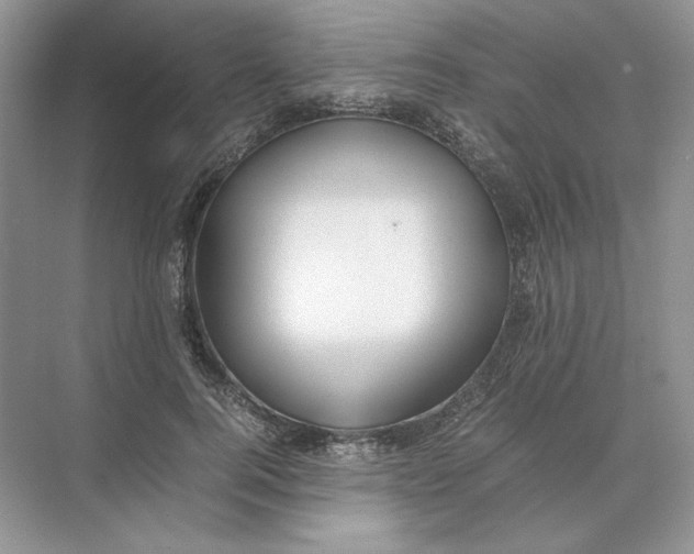 X0000074330744200609230052