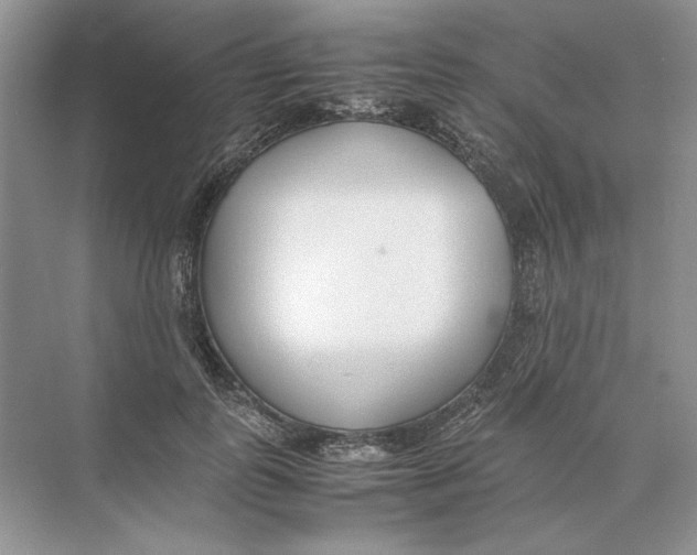 X0000074330747200609230052