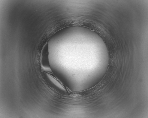 X0000074330748200609230052