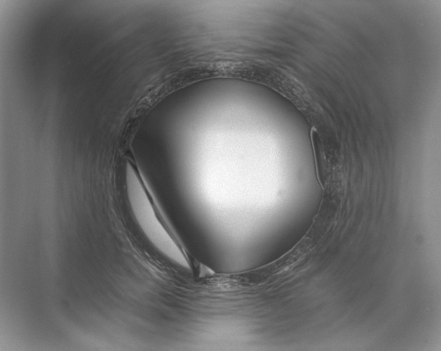 X0000074330750200609230052