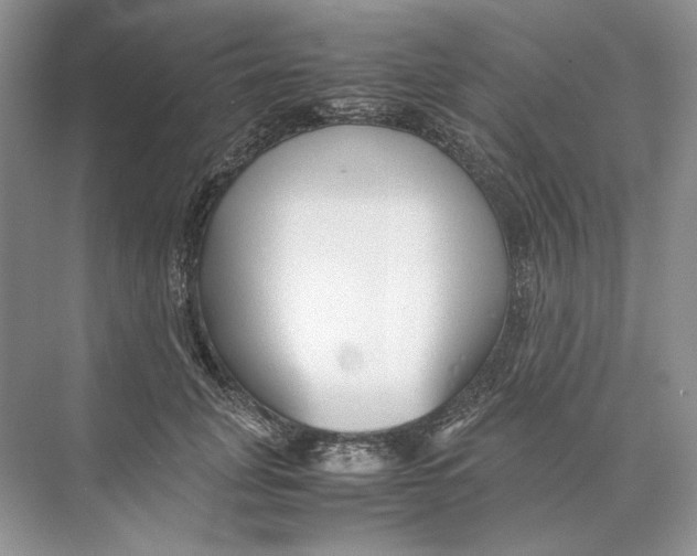 X0000074330751200609230052