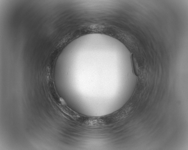 X0000074330752200609230052