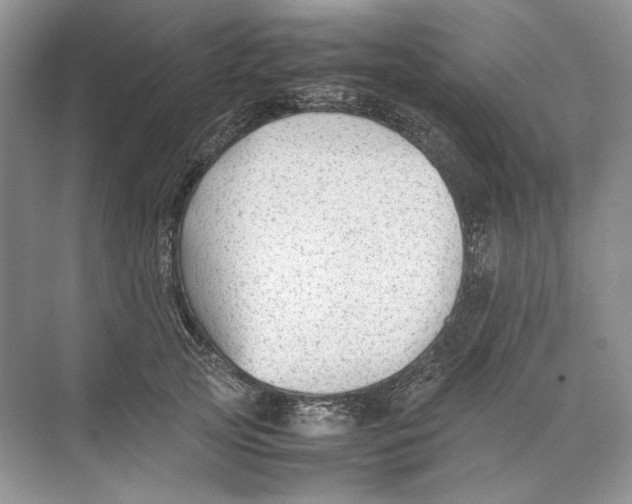 X0000074330753200609230052