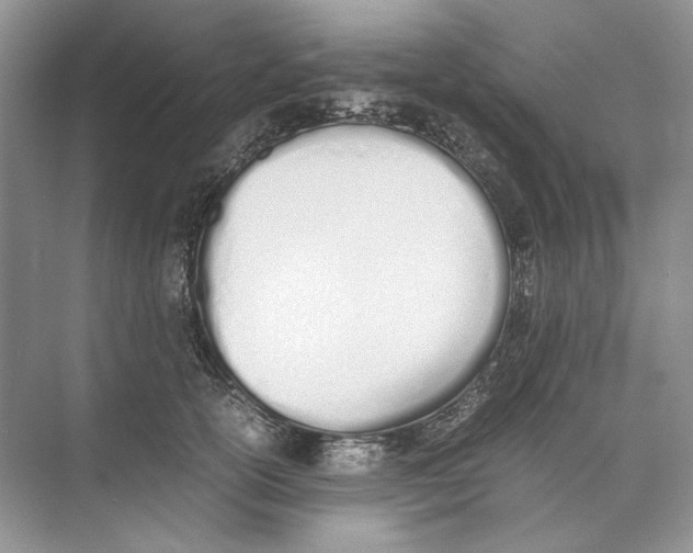 X0000074330754200609230052