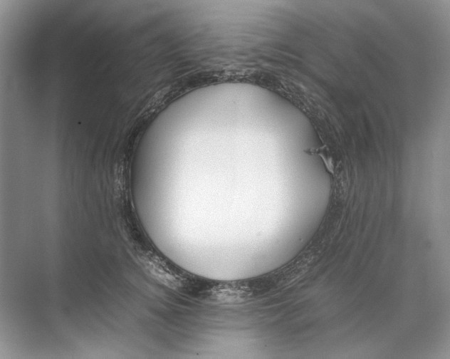 X0000074330756200609230052